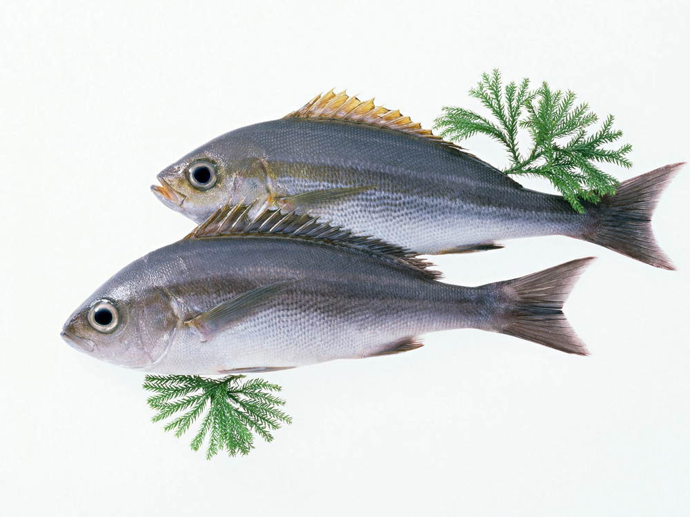 Рыба и морепродукты оптом